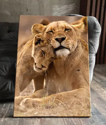 Обои Кино Фильмы The Lion King (2019), обои для рабочего стола, фотографии  кино фильмы, the lion king , 2019, лев, львенок, разговор, закат Обои для  рабочего стола, скачать обои картинки заставки на рабочий стол.
