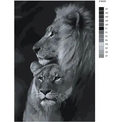 Лев и львица черно белое фото 