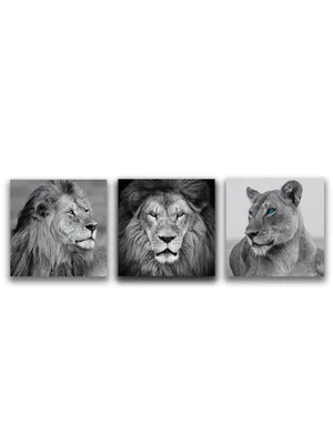 Фрески на стену лев, львица, хищники, aртикул: 3144 лев