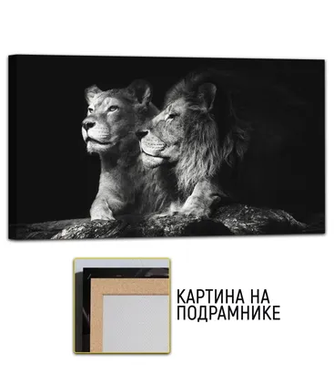 Коллекция из 3-х картин на холсте LOFTime 30Х30 ЛЕВ И ЛЬВИЦА ЧБ К-006-3030  - купить в Москве, цены на Мегамаркет
