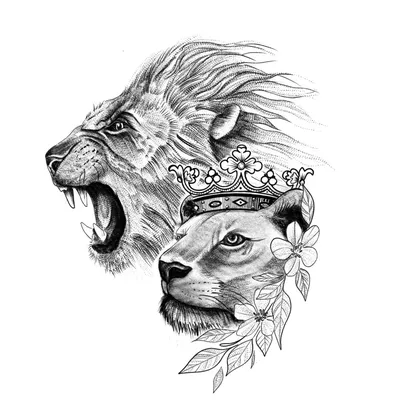 Львица со львёнком | Пикабу