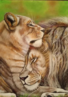 Любовь львов. Лев и львица . - Художественная галерея \"Антарес\"