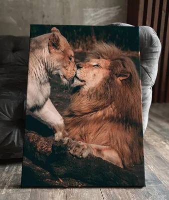 Картина на холсте (лев львы львица любовь пара и) 60 40 вертикально  интерьерная/в комнату/на стену/в спальню - купить по низкой цене в  интернет-магазине OZON (581100539)