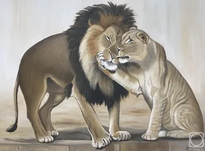 Лев и львица стоковое фото. изображение насчитывающей отдыхать - 150890864