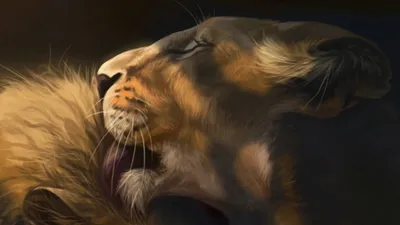 Иллюстрация Любовь львов. в стиле другое | Illustrators.ru