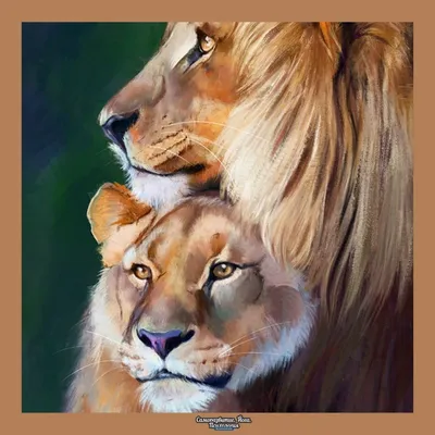 Лев Лав в зоопарке Джерусалем Стоковое Изображение - изображение  насчитывающей львица, взаимодействие: 161110651