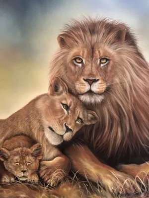 Комплект картин на холсте LOFTime Лев и львица половинки 30*40 купить по  цене 1171 ₽ в интернет-магазине Детский мир