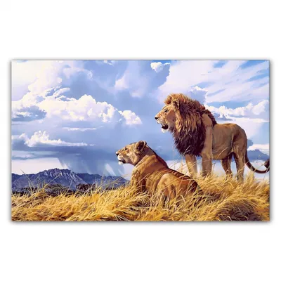 Лев и львица | Пикабу