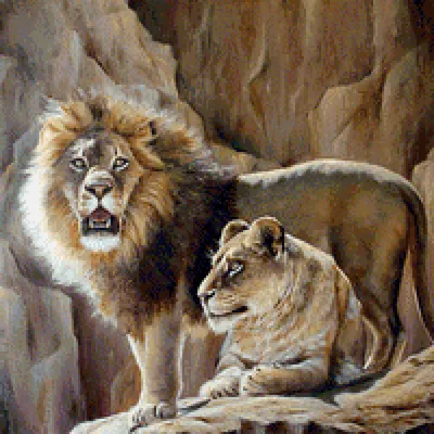 Картинки лев, львица, животные - обои 2560x1440, картинка №302654