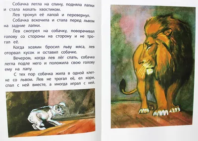 Лев и собачка Толстой Лев Николаевич, цена — 56 р., купить книгу в  интернет-магазине