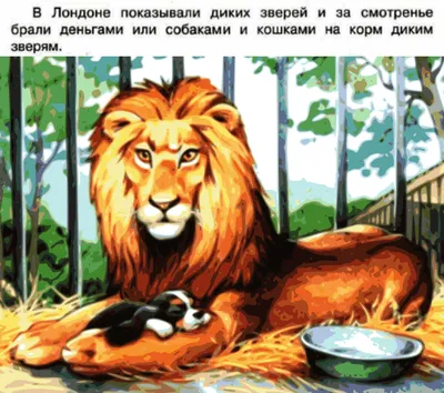 Рисунок Собачка и Лев №21926 - «Моя любимая книга» (28.01.2024 - 14:06)
