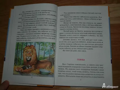 Лев и собачка, , Лев Толстой – скачать книгу бесплатно fb2, epub, pdf на  ЛитРес