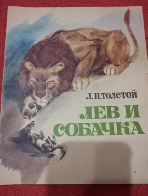 Собака стала приёмной мамой льву и вожаком для двух тигриц в иркутском  зоопарке
