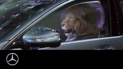 Реклама Mercedes-Benz S-Lounge | Вы когда-то видели льва за рулём? В рекламе  Mercedes-Benz S-Class всё возможно! #detalior #car #driver #speed #vehicle  #facebook #авто #ремонтавто... | By Detalior | Facebook