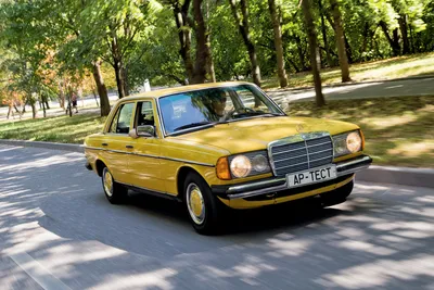 Лев на решетке радиатора Мерседес W123 — Mercedes-Benz W123, 2,3 л, 1981  года | аксессуары | DRIVE2