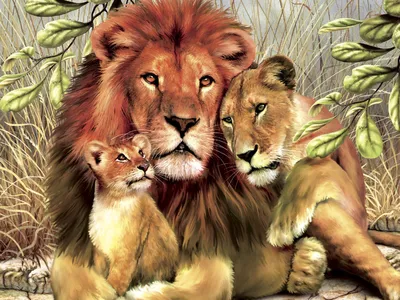Лев львица и львенок фото фотографии