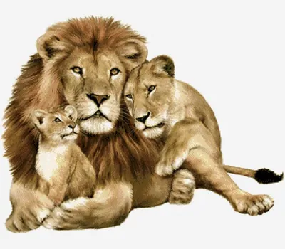 Предпросмотр схемы вышивки «семья лев львица и львенок» (№546514) - Вышивка  крестом