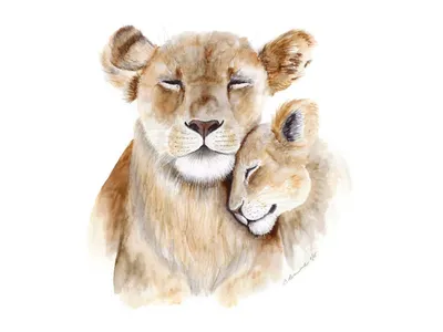 Иллюстрация Рисунок лев и львенок | Illustrators.ru