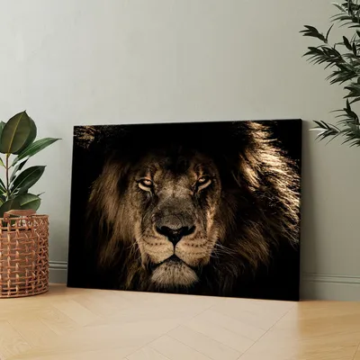 Морда льва - 56 фото