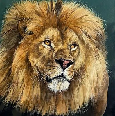 Впечатляющее фото льва с яркой мордой | Лев морда Фото №507907 скачать