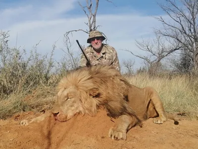 Как львицы и львы охотятся на зебр | Dinlog.ru