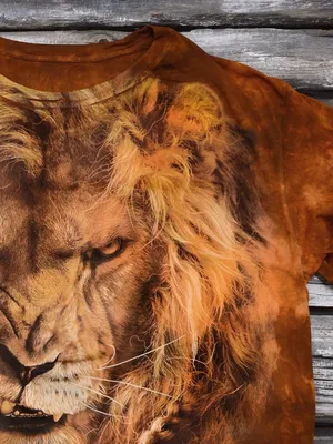 Картина для интерьера лев царь зверей, грозный грива льва, лев на черном  фоне (47) 50х70 - купить по низкой цене в интернет-магазине OZON (998610608)