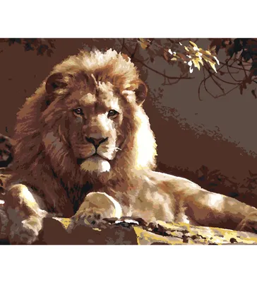 ᐉ Алмазная мозаика Лев царь зверей 40x30 см (27234)