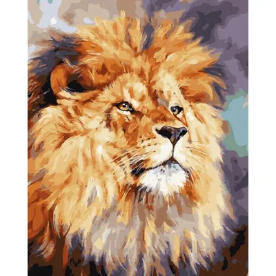 Лев царь зверей фото фотографии