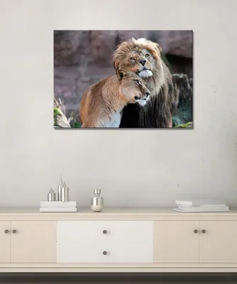 Царь зверей / лев в зоопарке
