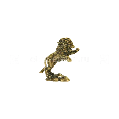 Desktop Wallpapers lion Big cats Jump animal 1600x1200