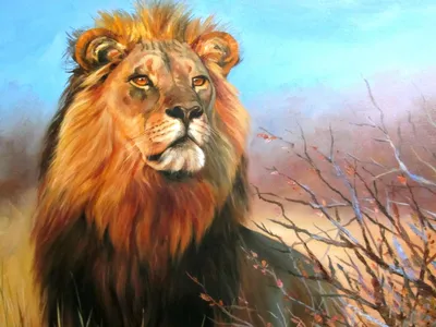 Ученые назвали хищника, которого больше всего боятся животные, и это не лев  - МЕТА