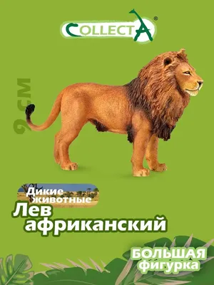 Дикие животные боятся людей больше, чем львов - исследование - 07.10.2023,  Sputnik Армения