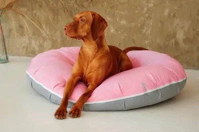 Двусторонний лежак пончик для Собак и Котов серо-розовый | Мягкая  влагостойкая подушка для собак и котов | HAUSTIER