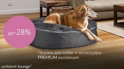 Лежаки для крупных пород собак больших размеров - купить антивандальный  лежак со съемным чехлом