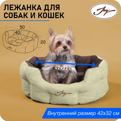 Деревянные лежаки для собак №1061665 - купить в Украине на Crafta.ua