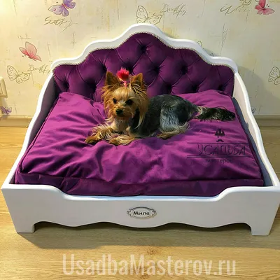 Кровать для собаки. Купить или сделать заказ можно на сайте