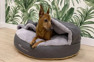 Лежак для собак с капюшоном серый | Лежанка для котов с одеялом | HAUSTIER
