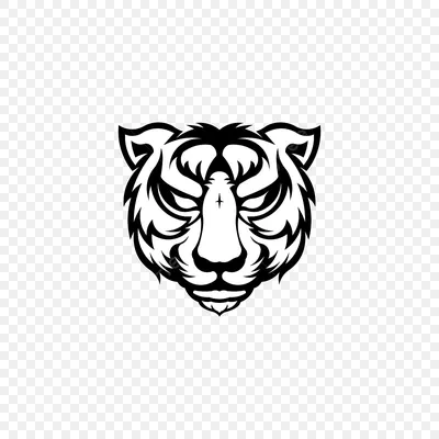 Лицо Тигра На Черном Фоне — стоковые фотографии и другие картинки Тигр -  Тигр, Голова животного, Агрессия - iStock