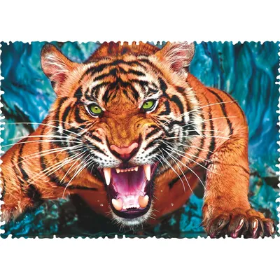 Лицо Тигра На Черном Фоне — стоковые фотографии и другие картинки Тигр -  Тигр, Агрессия, Голова животного - iStock