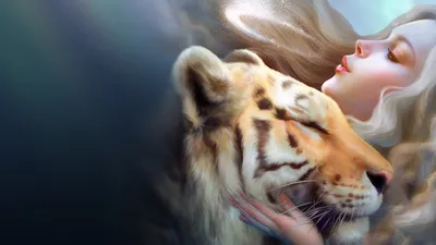 влюбленные пары белых тигров, картинки львов и тигров, лев, животное фон  картинки и Фото для бесплатной загрузки
