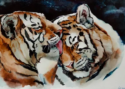 Картина Era ct Вышивка животное тигр наборы для вышивки крестиком DMC с  принтом Canva ручная работа украшение для дома подарок для любви |  AliExpress
