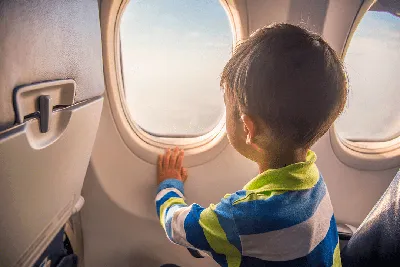 Люлька в самолет для младенца (37 фото) - красивые картинки и HD фото