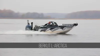 Катер Berkut M-Jacket в каталоге сайта itboat.com: цена и характеристики
