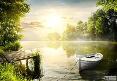 Фотообои \"Лодка на берегу реки ранним утром\" - Арт. 150386 | Купить в  интернет-магазине Уютная стена