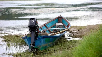 Человек в лодке плывет по реке | Пикабу