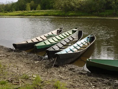 Обои для рабочего стола Финляндия Oulu, River Oulujoki Природа Леса