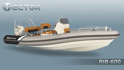 Лодка РИБ ProfMarine 550 с алюминиевым корпусом купить за 680 000 руб. —  Профиснасть