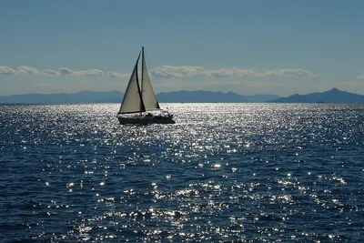 Парусный Спорт Лодка Море - Бесплатное фото на Pixabay - Pixabay