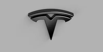Tesla Chrome Logo - Vibeprint