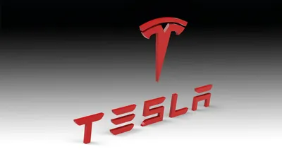 Logo emblems in black for the Tesla Model 3 – Shop4Tesla